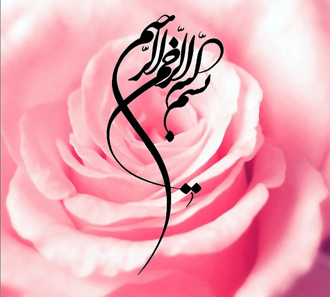 Арабская роза