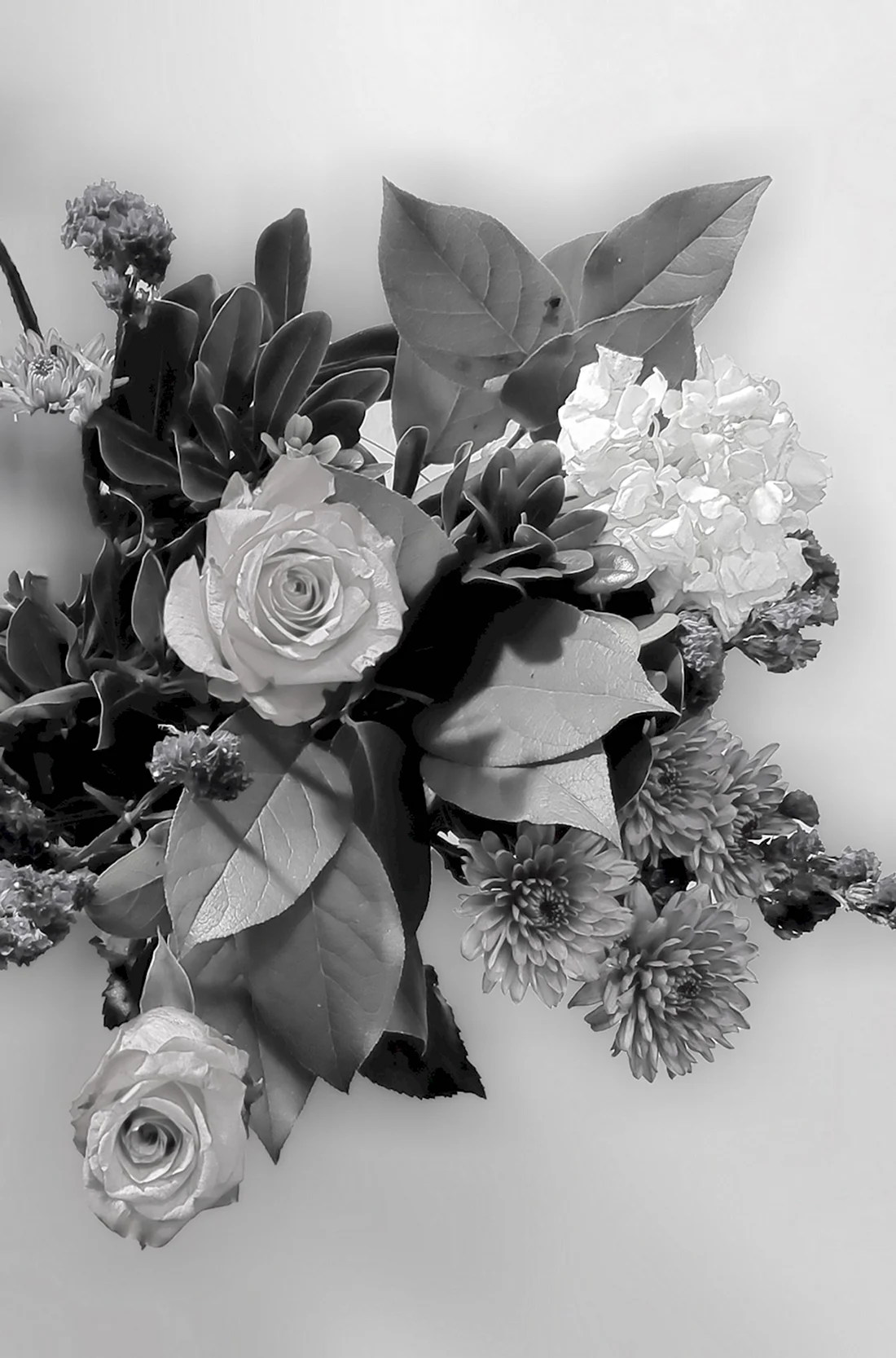 Букет цветов черно белый
