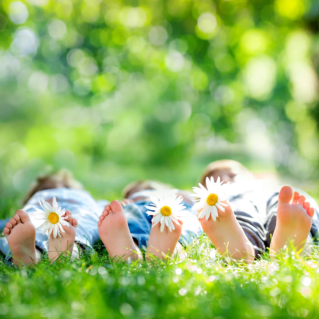 Дети лежат на траве с ромашками