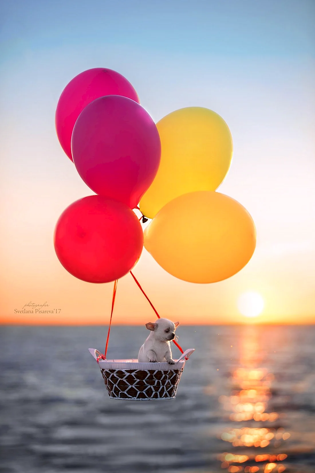 Доброе утро с воздушными шарами