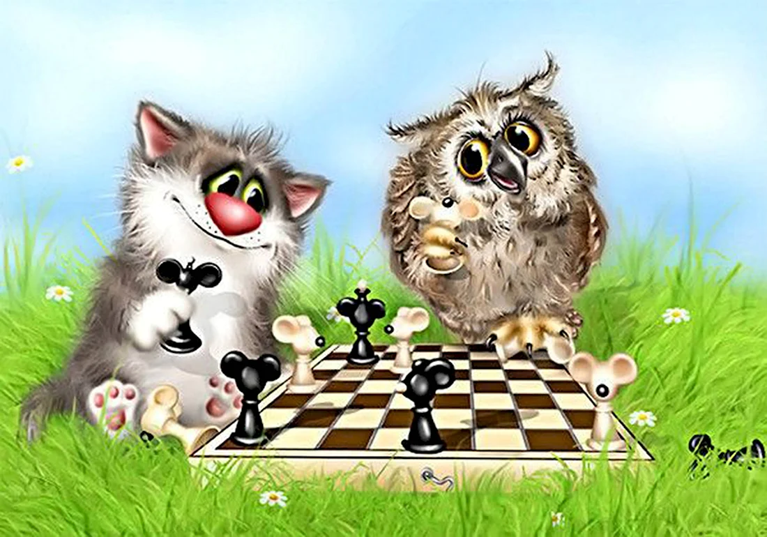 Долотов кот Сова шахматы