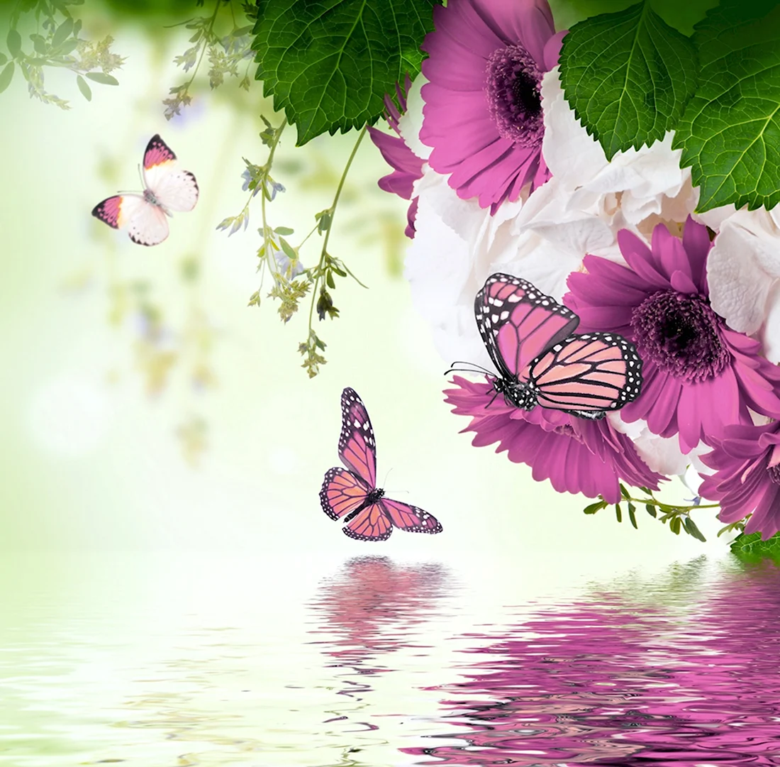Фон с цветами и бабочками