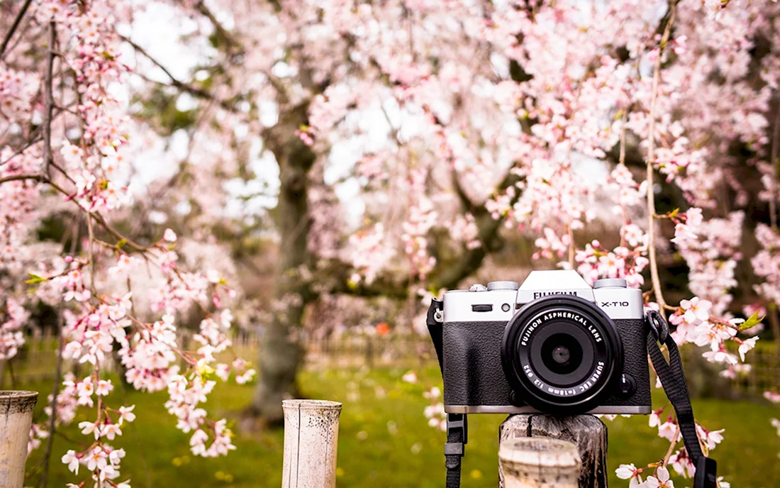 Фотоаппарат Весна
