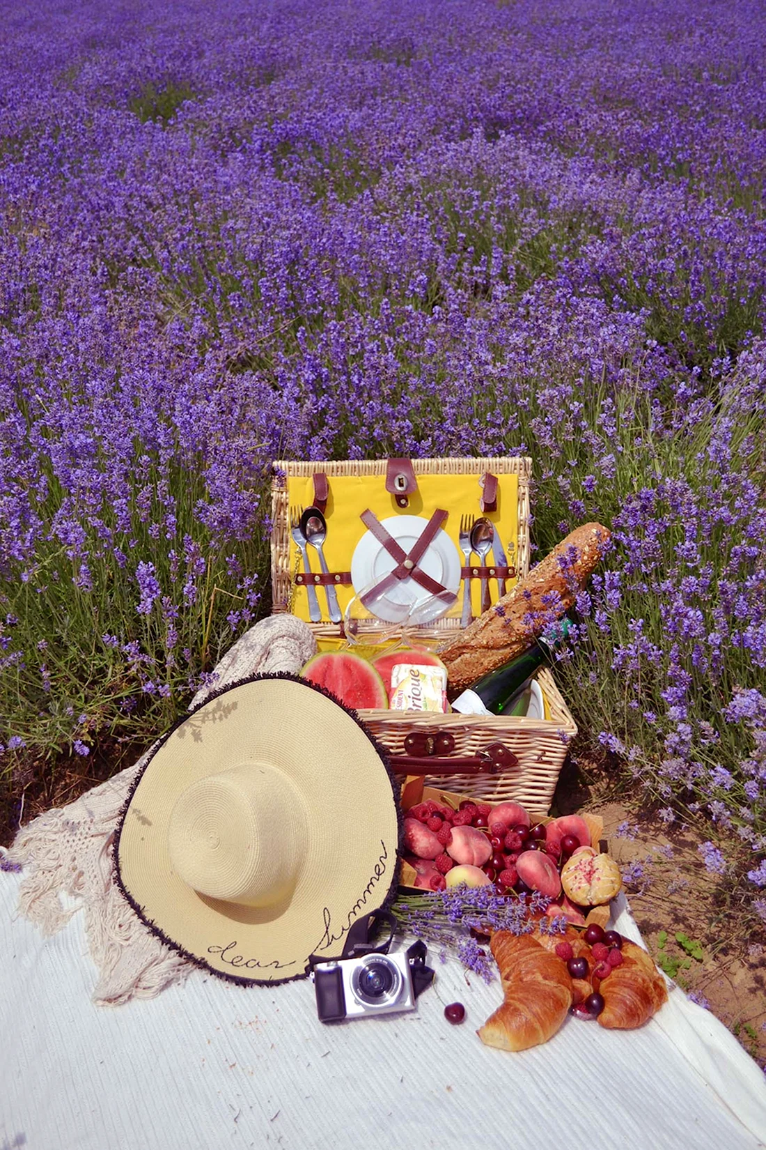 Франция пикник на лавандовом поле