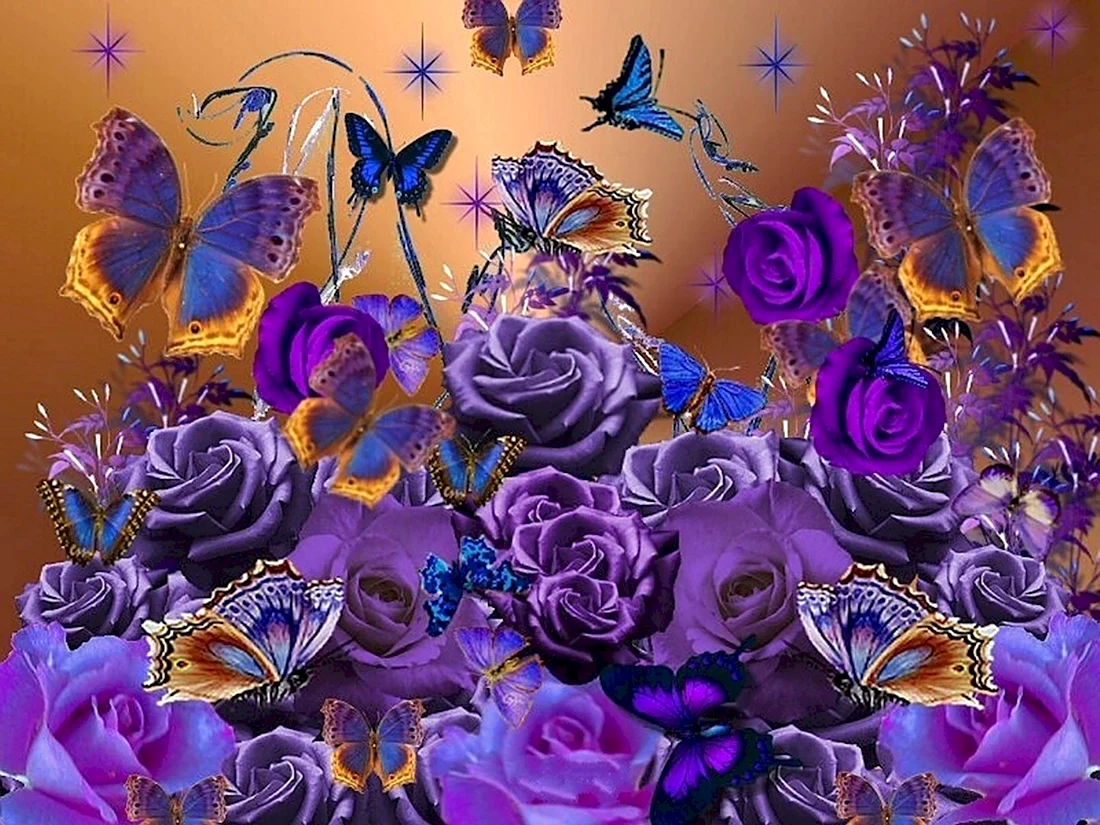Яркие фиолетовые цветы