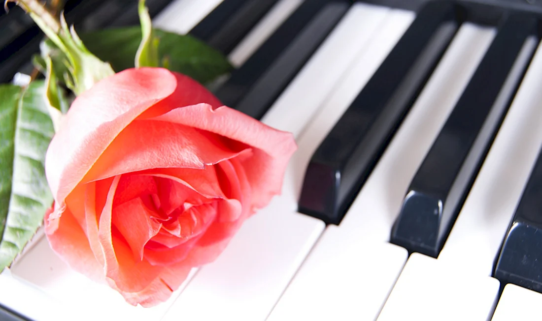 Клавиатура фортепиано с цветами