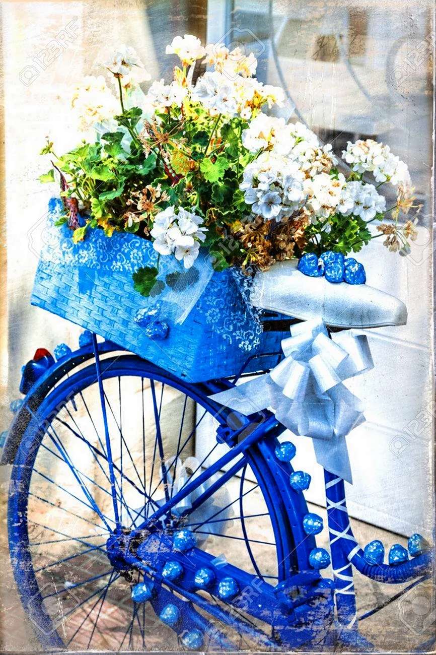Открытки с днём рождения с велосипедом и цветами