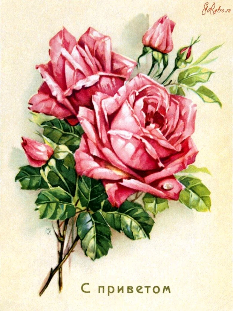Открытки с розами