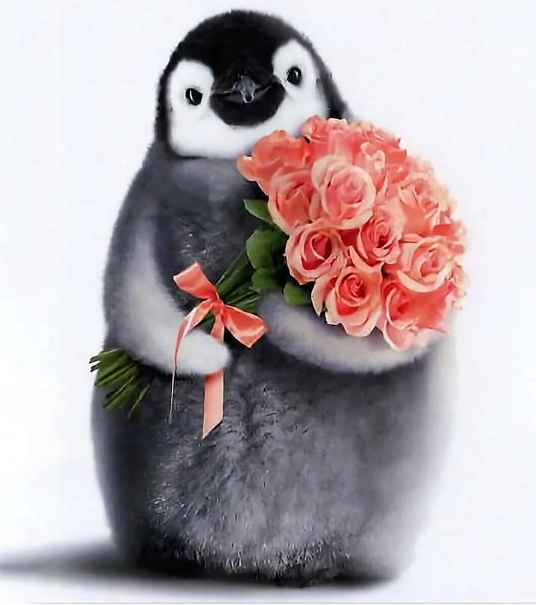 Пингвин с цветами