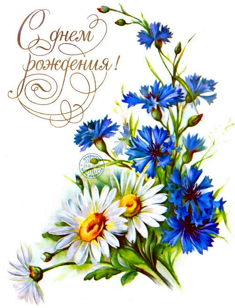 Поздравительные открытки с полевыми цветами