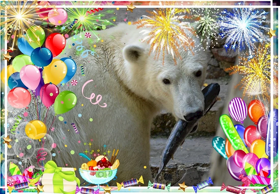 С днем рождения белый медведь