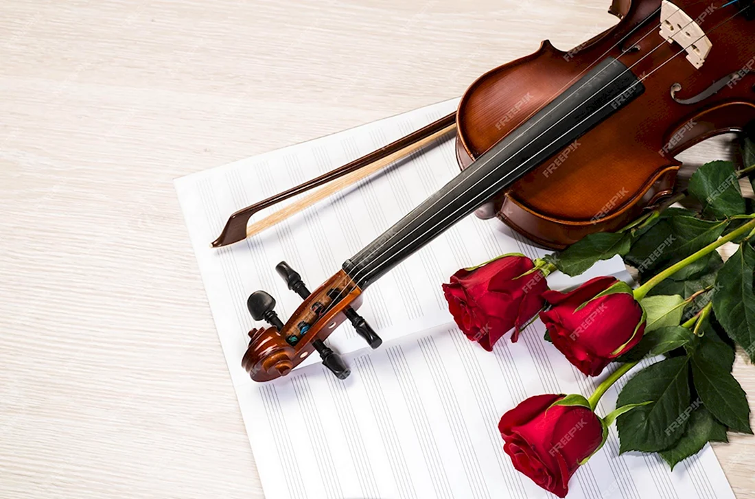 Скрипка и цветы красивые картинки