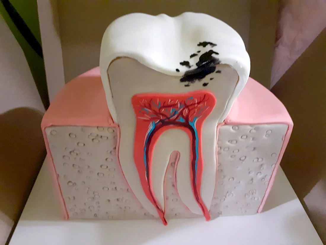 Торт для стоматолога