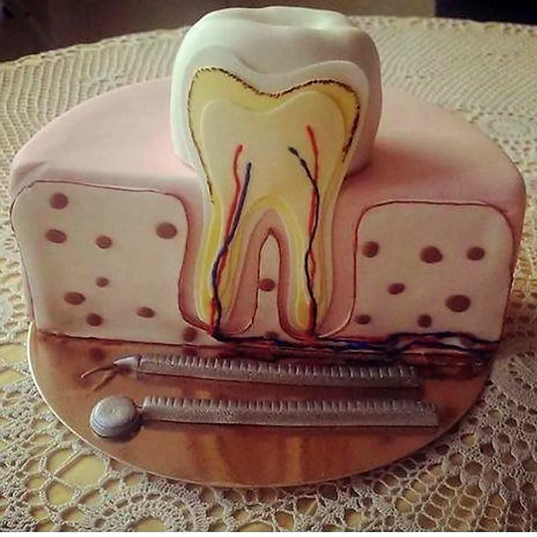 Торт зуб для стоматолога