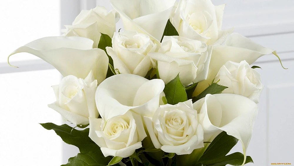 Букет белых роз Анжелика