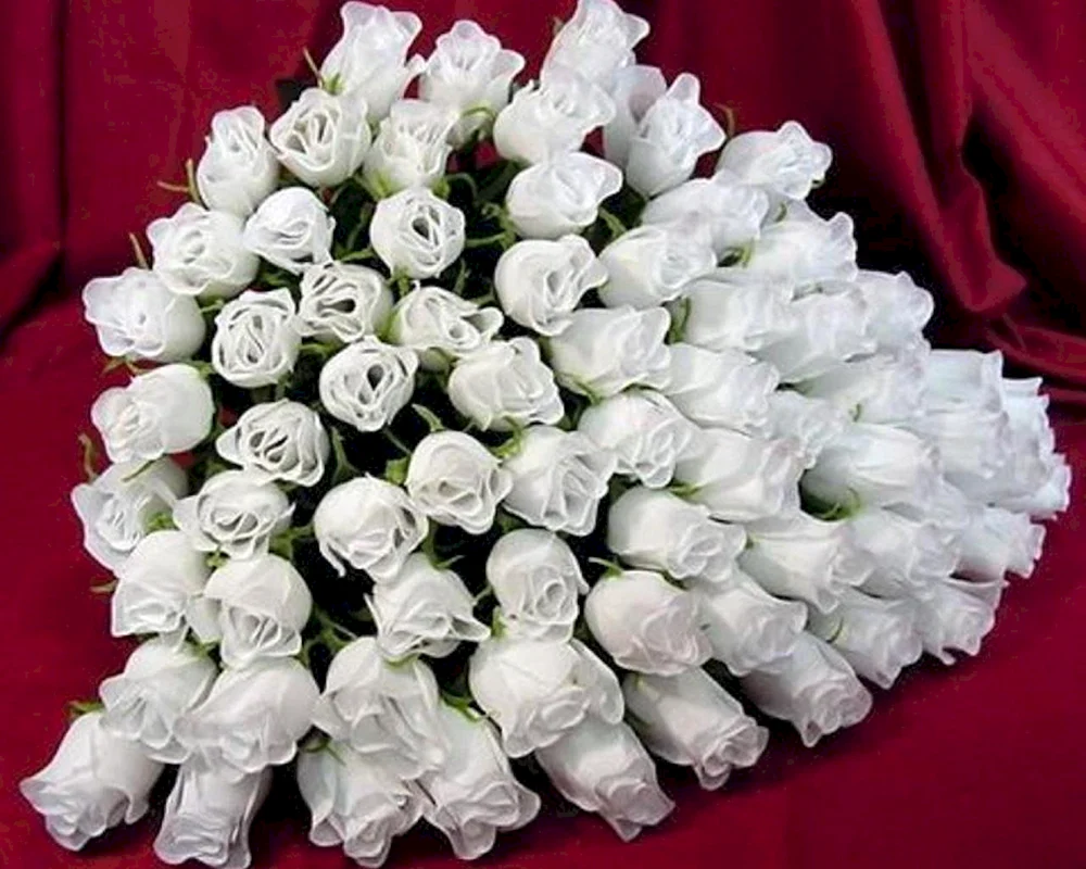 Букет белых роз для Иришки