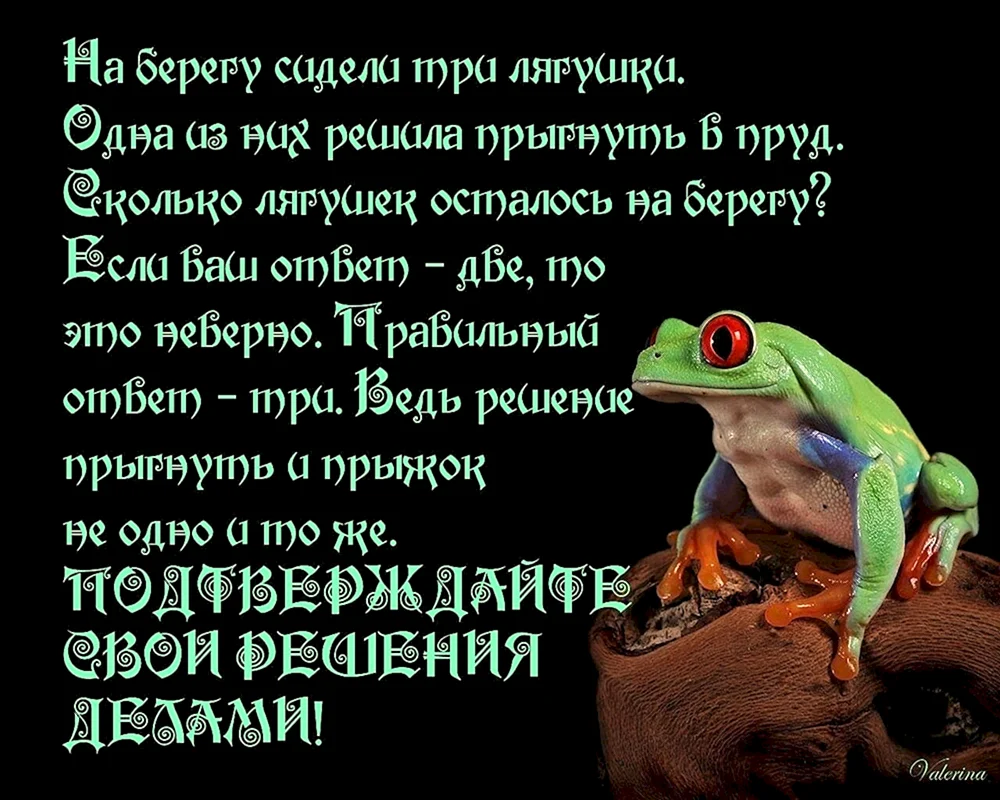 День лягушки