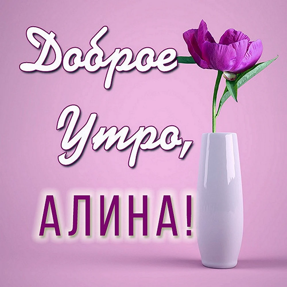 Доброе утро Алиса