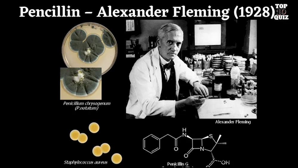 Флеминг пенициллин