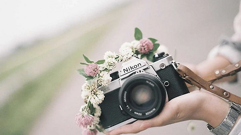 Фотоаппарат и цветы