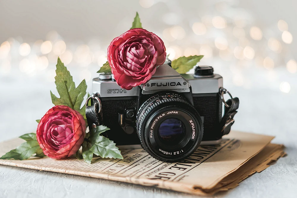 Фотоаппарат и цветы