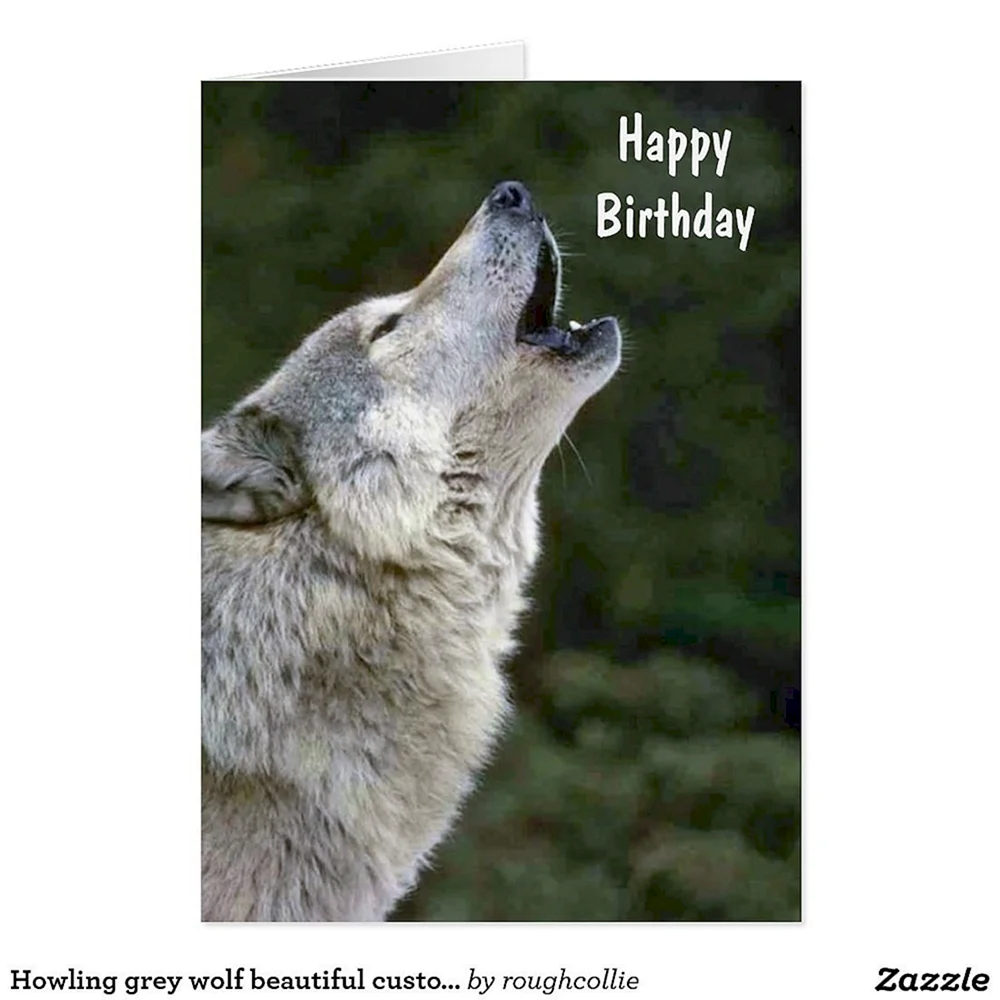 Happy Birthday волк