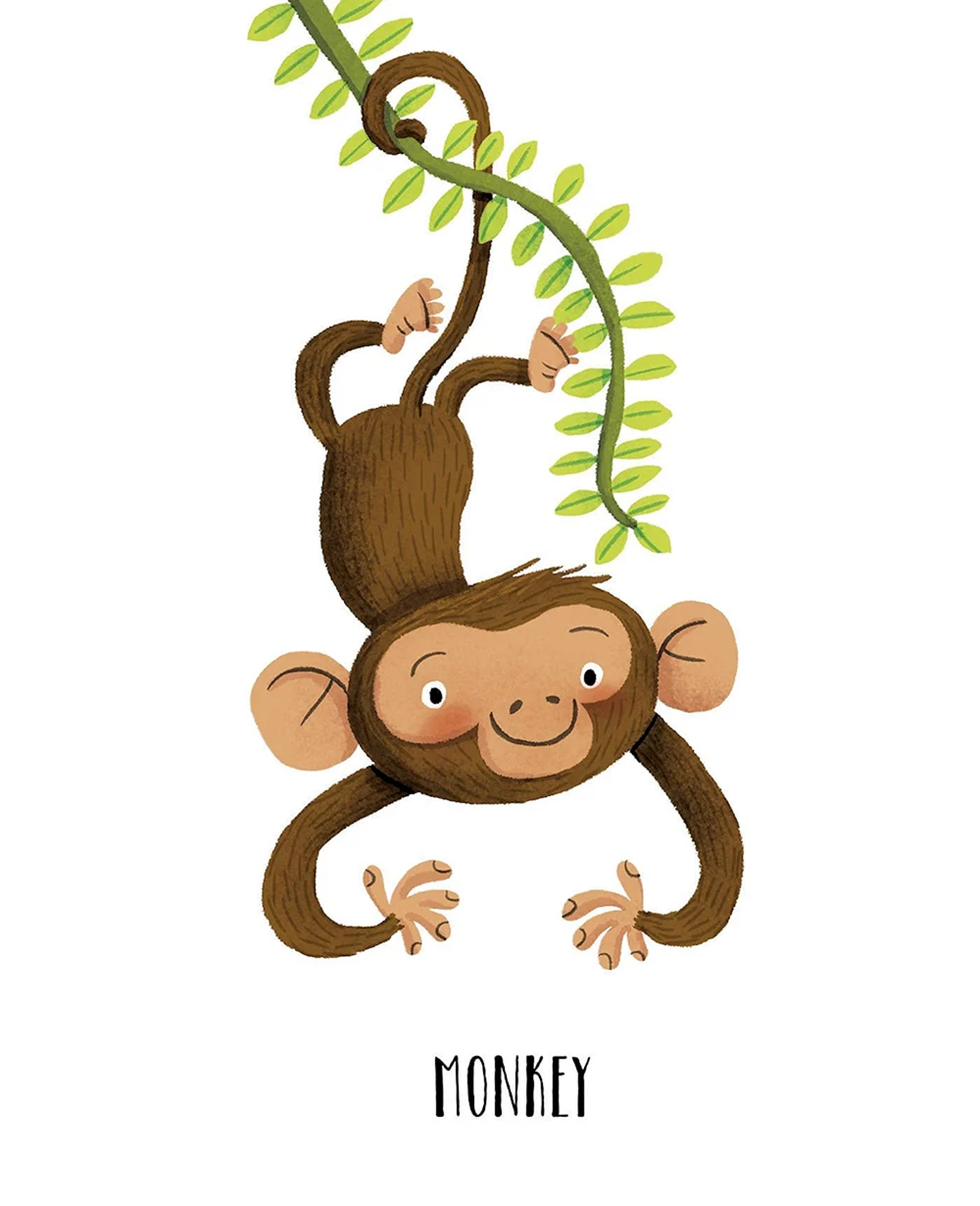 Иллюстрация про обезьянку