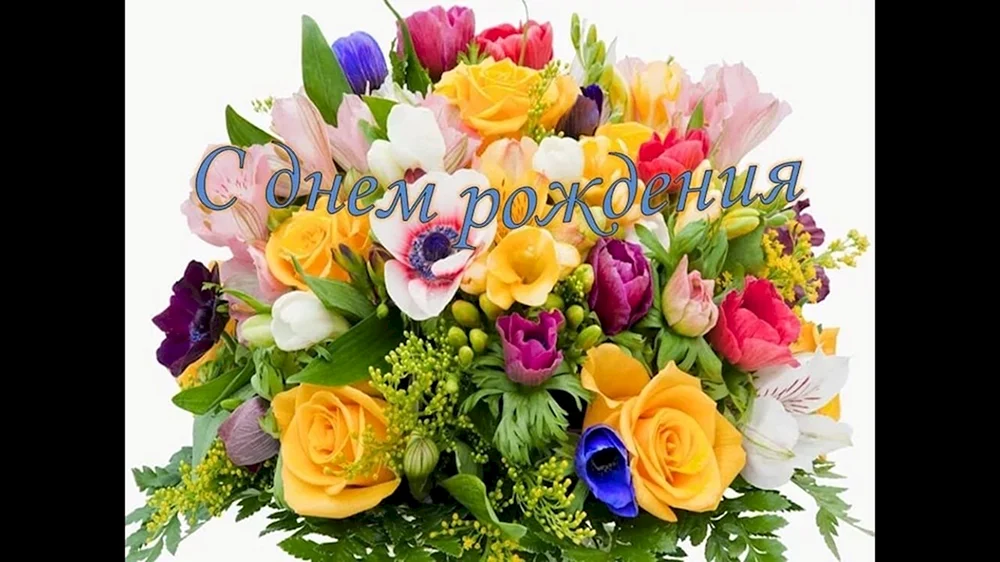 Ипина николаевнатс дгем рождения