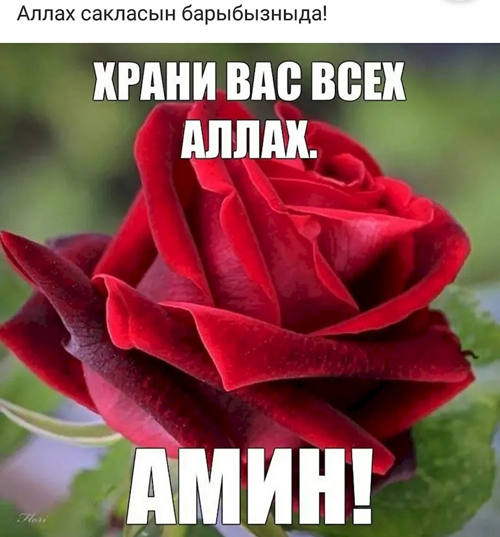 Храни вас Аллах