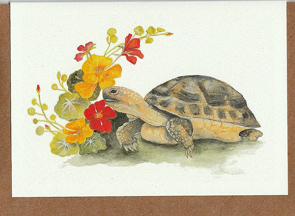 Китайская живопись черепаха
