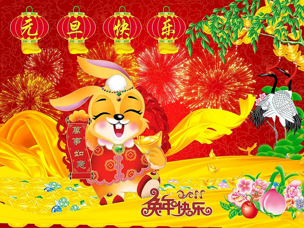 Китайский новый год 2011