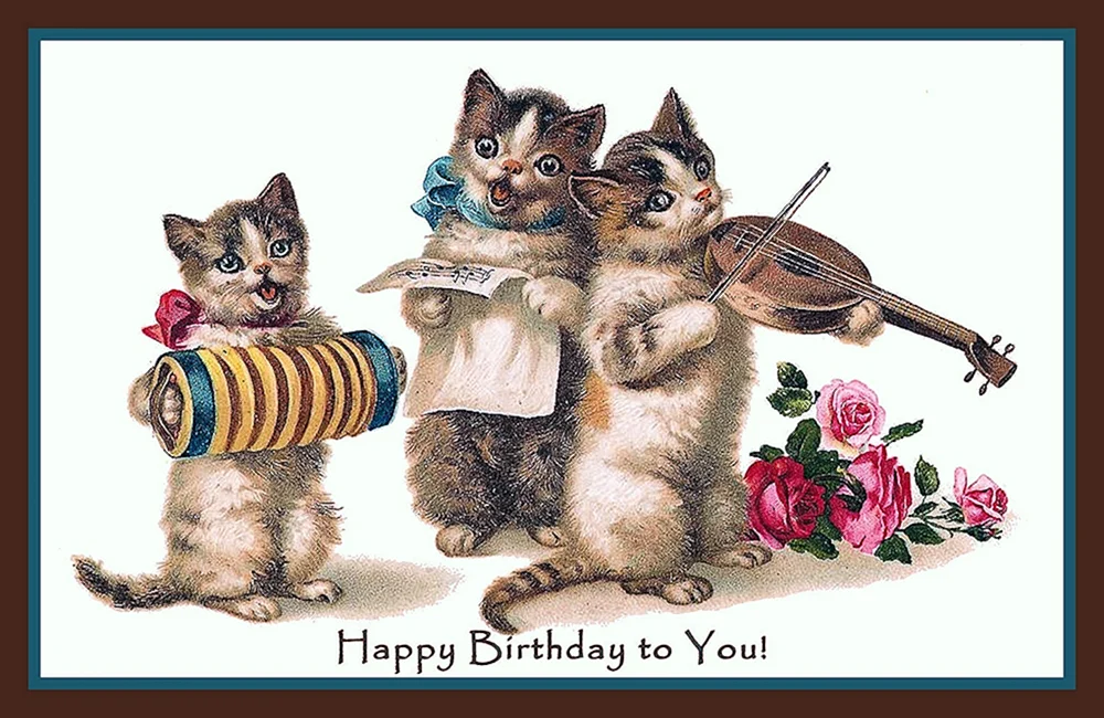 Кошки поздравляют с днем рождения