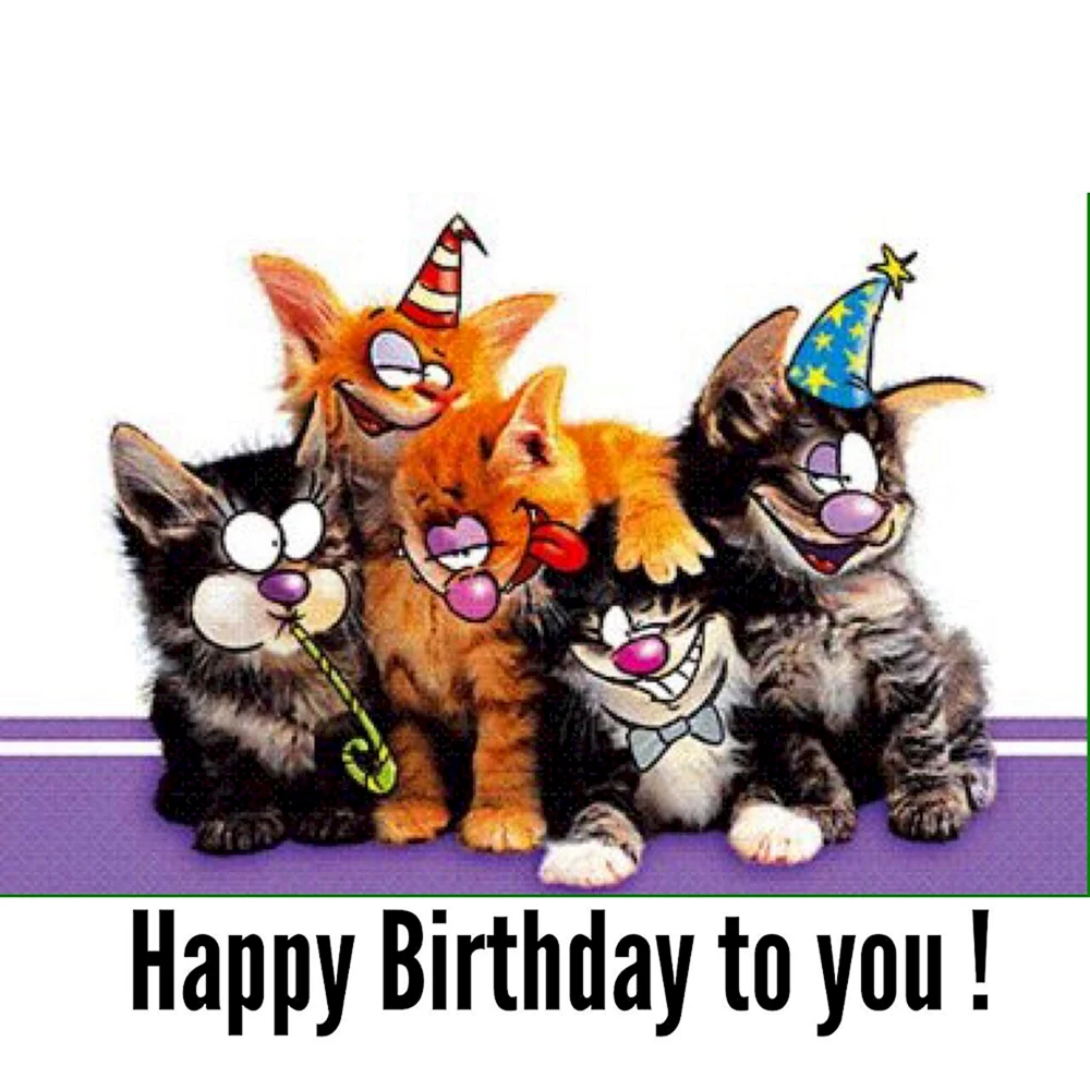 Коты поздравляют с днем рождения