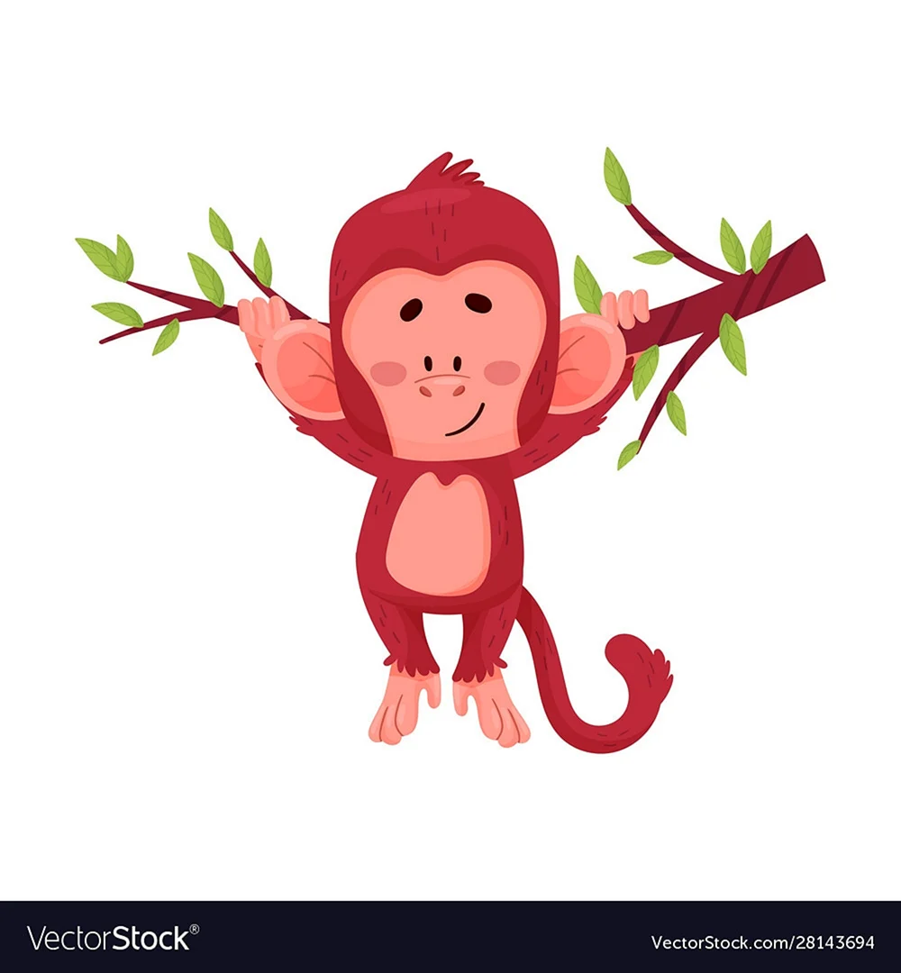 Красная обезьяна рисунок