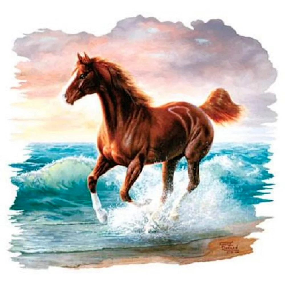 Лошади в океане