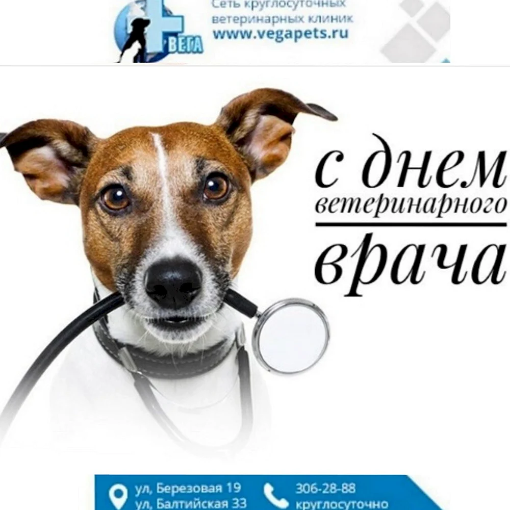 Международный день ветеринарного врача World Veterinary Day
