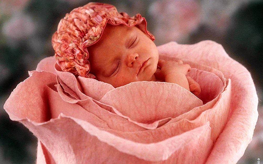 Куклы детки ANNE GEDDES