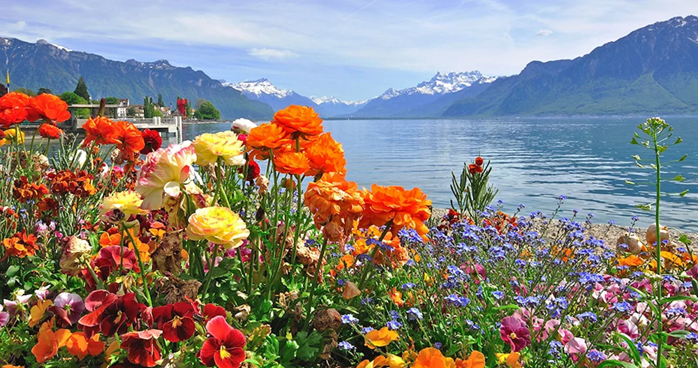 Море горы цветы