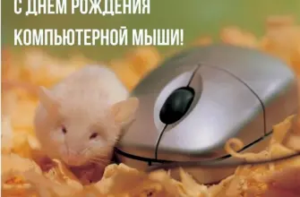 Мышь и компьютерная мышь