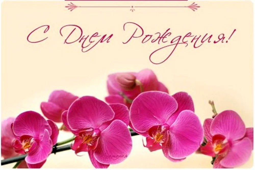 Открытки с днем рождения орхидеи - 41 фото - смотреть онлайн