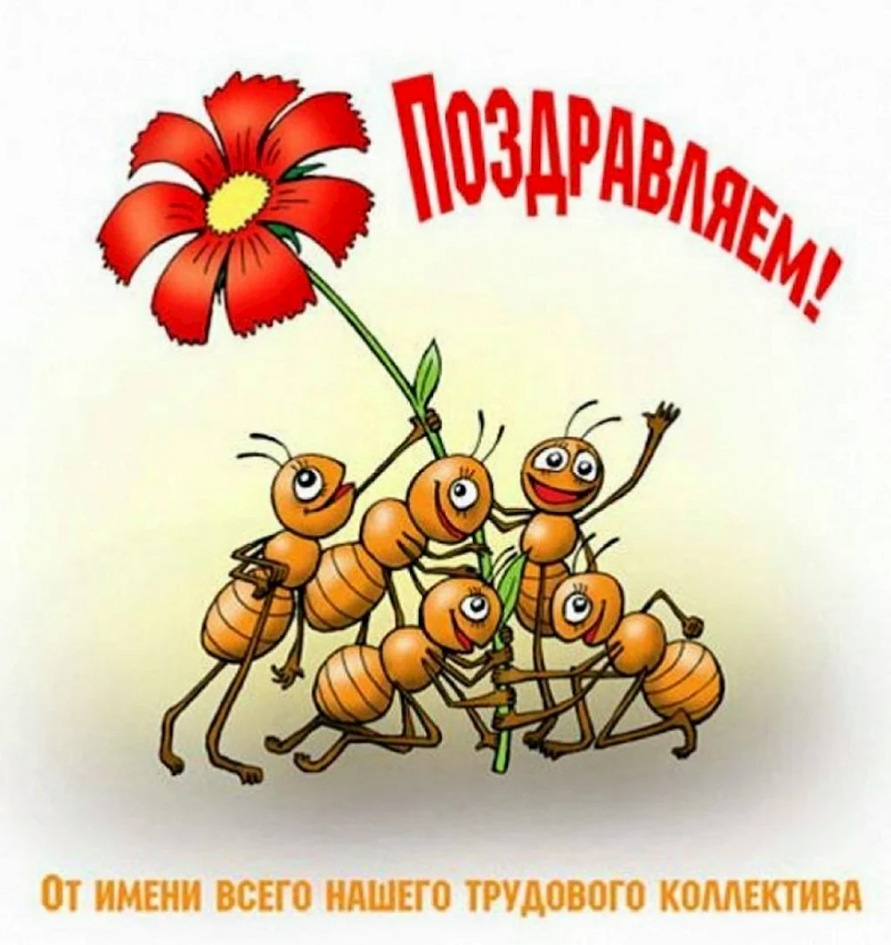 Красивые Поздравления С Днем Рождения Женщине: Трогательные Пожелания В Прозе Своими Словами