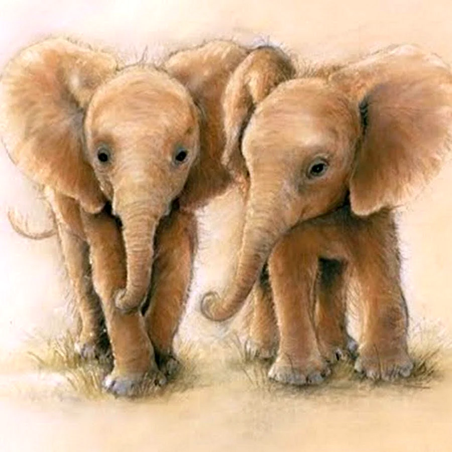 Открытка Слоненок