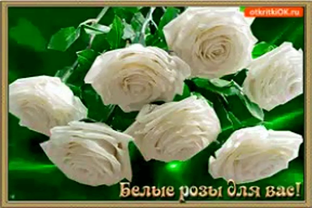 С днем рождения зеленые розы