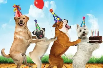 Открытки с днём рождения с собаками
