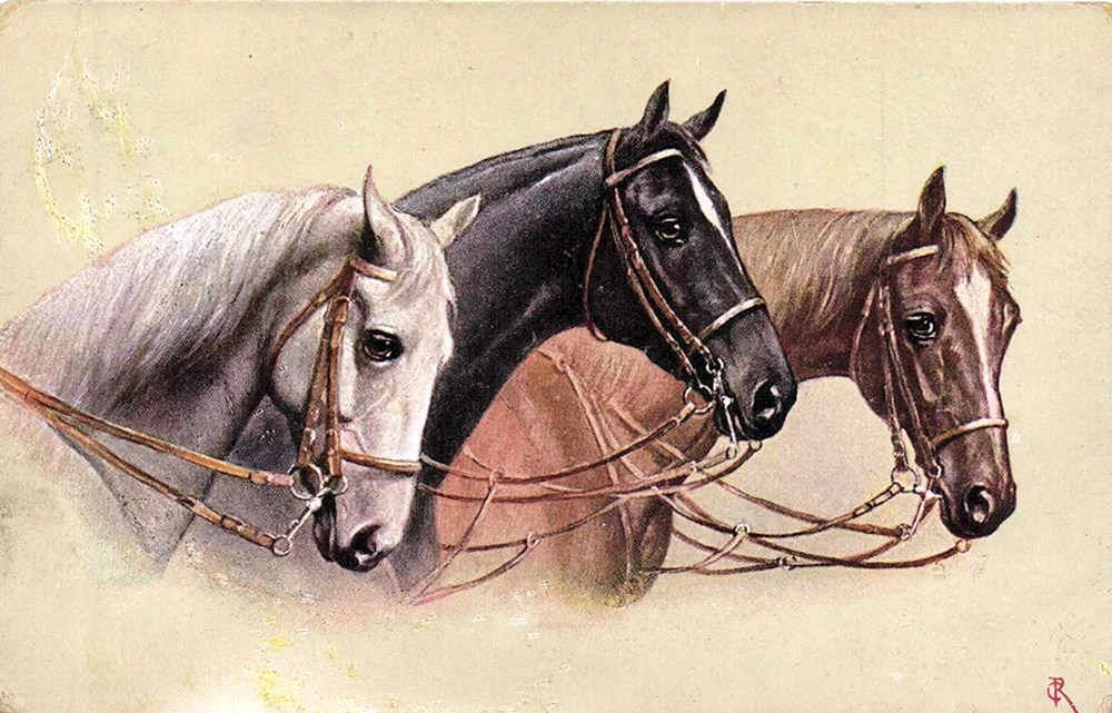 Открытки с лошадьми