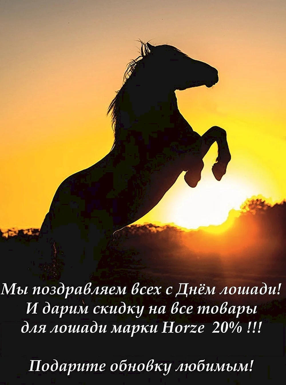 Красивая открытка с днем рождения с лошадью - скачать бесплатно на сайте уральские-газоны.рф