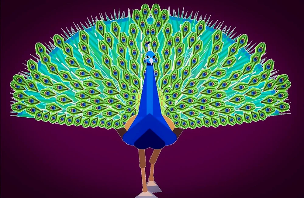 Peacock Design