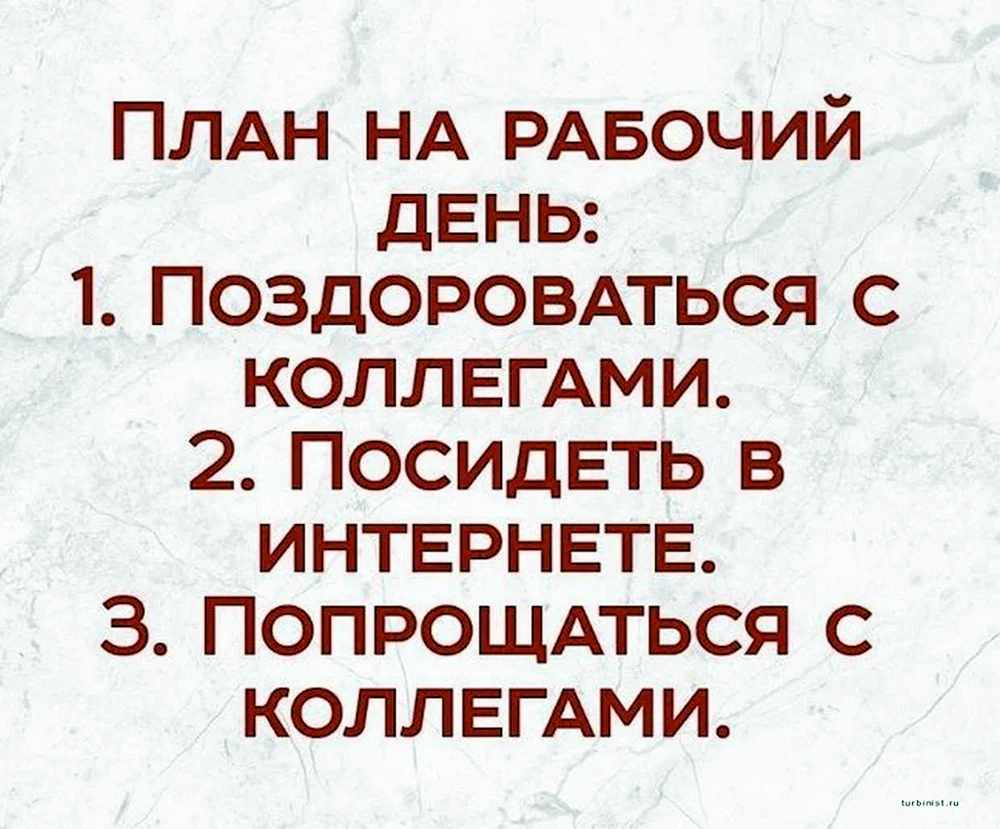 План работы на сегодня прикол