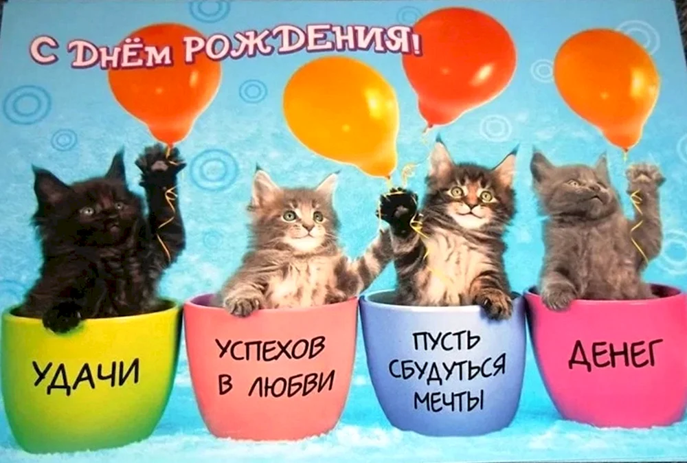 Поздравление с днем рождения коты