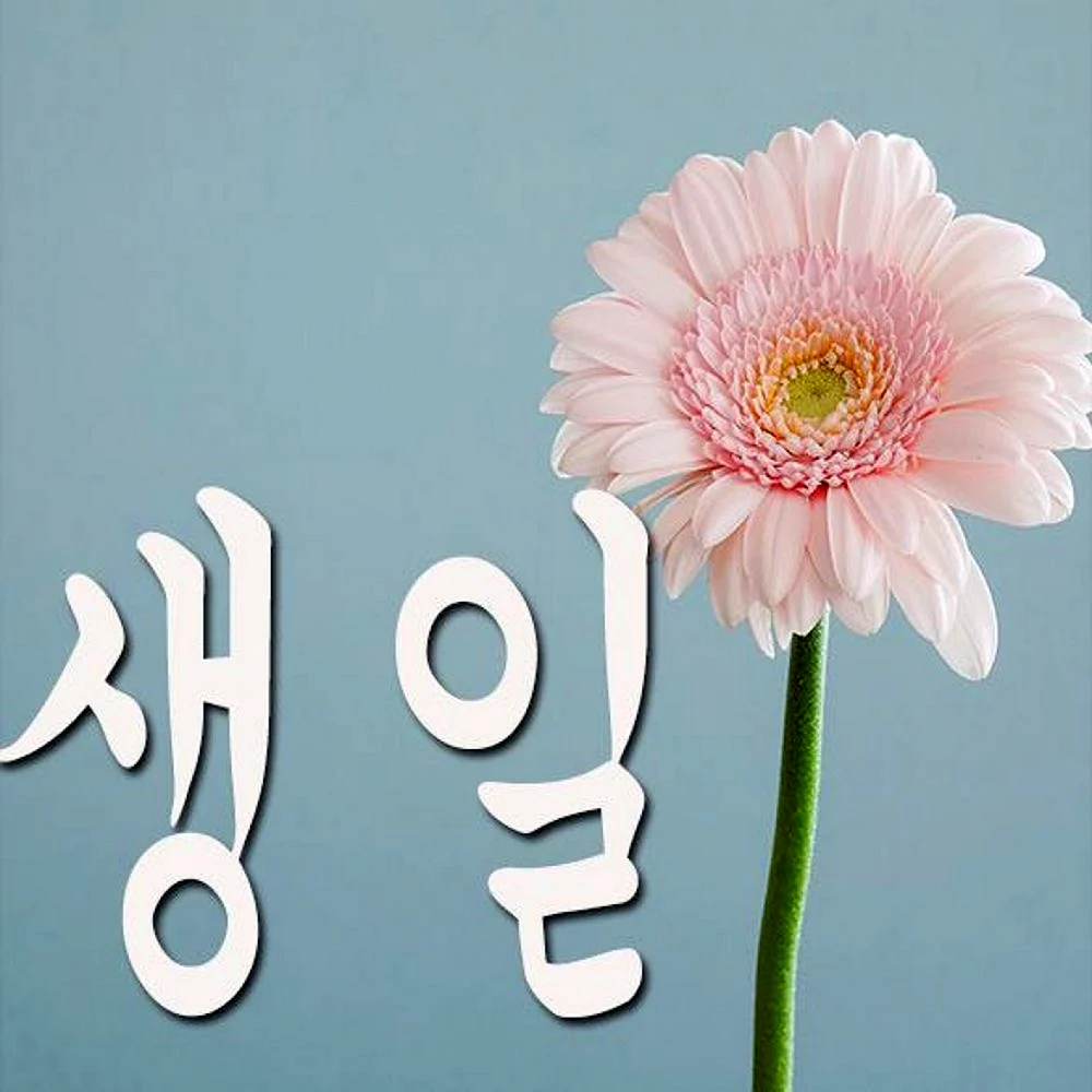Поздравление с днём рождения на корейском языке